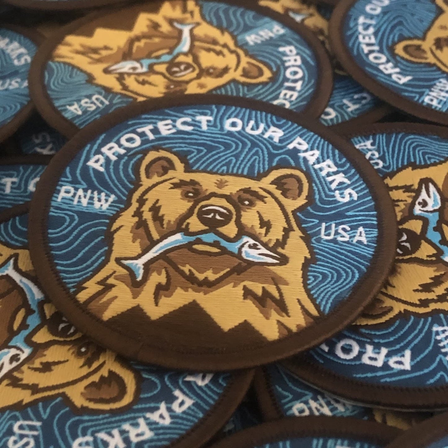 Protect Our Parks Bear Patch