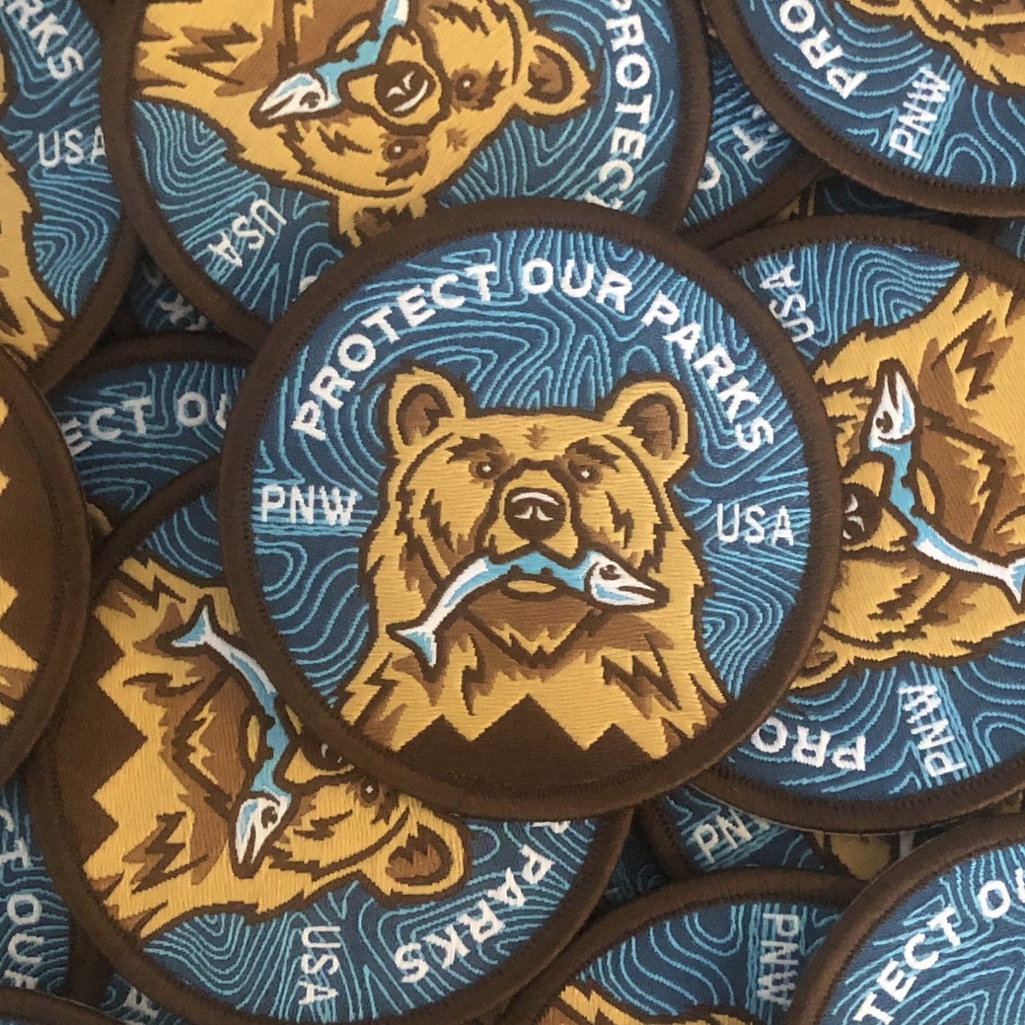 Protect Our Parks Bear Patch